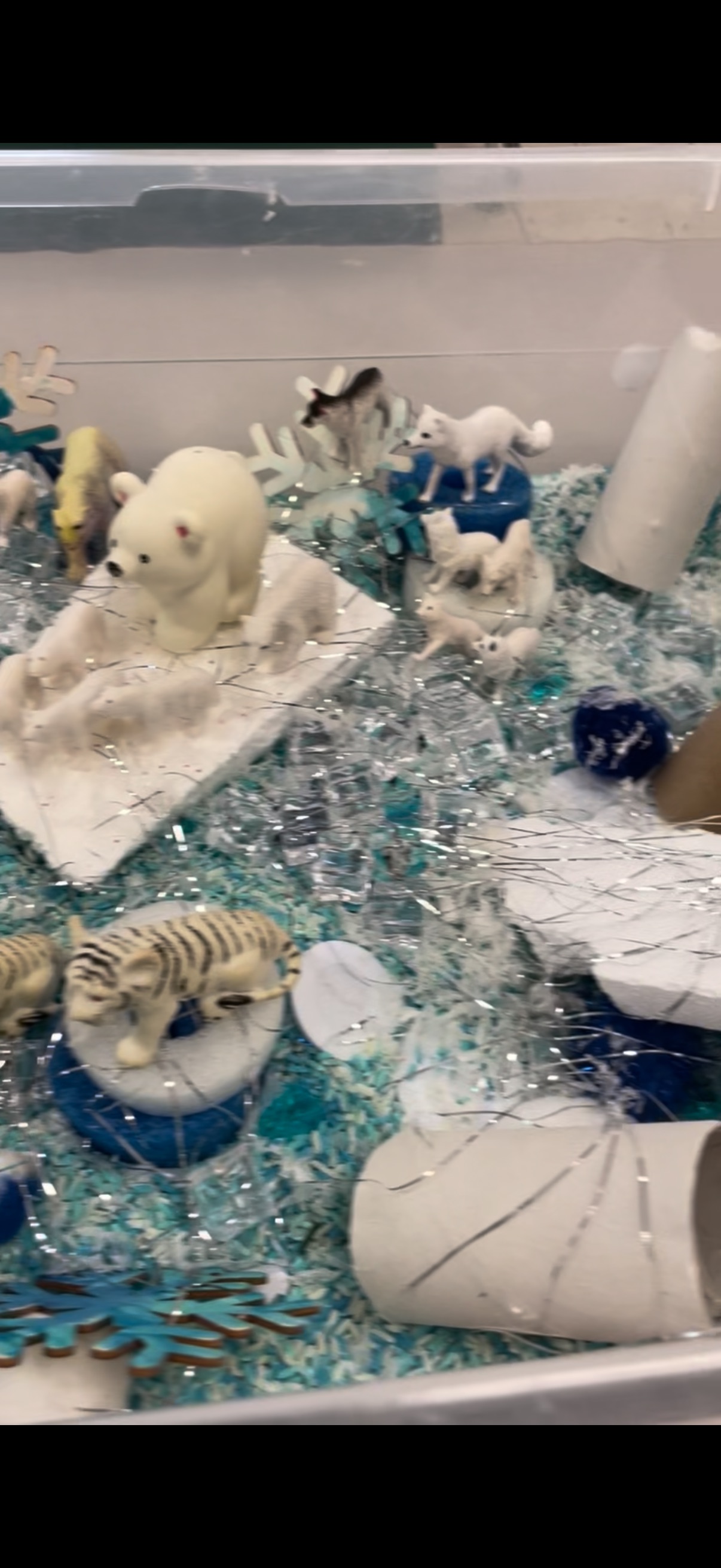 Arctic Sensory Bin