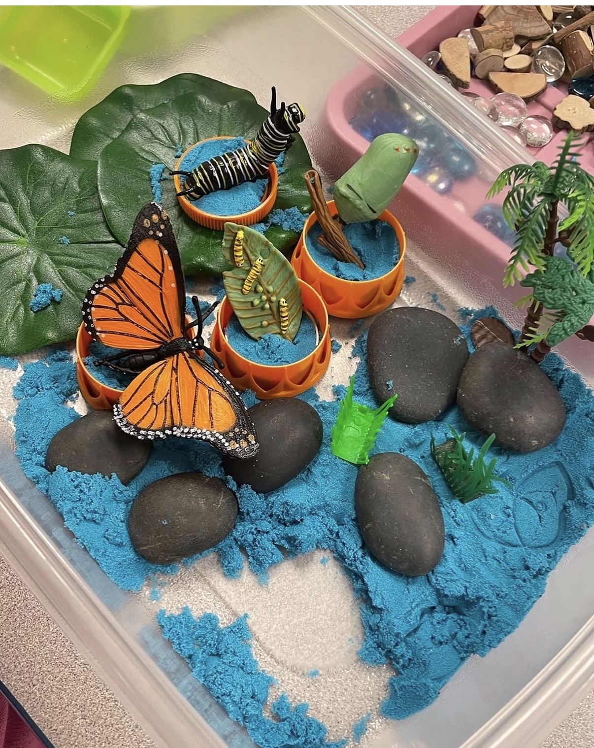 Butterfly & Caterpillar Blue Sand World 🦋🐛