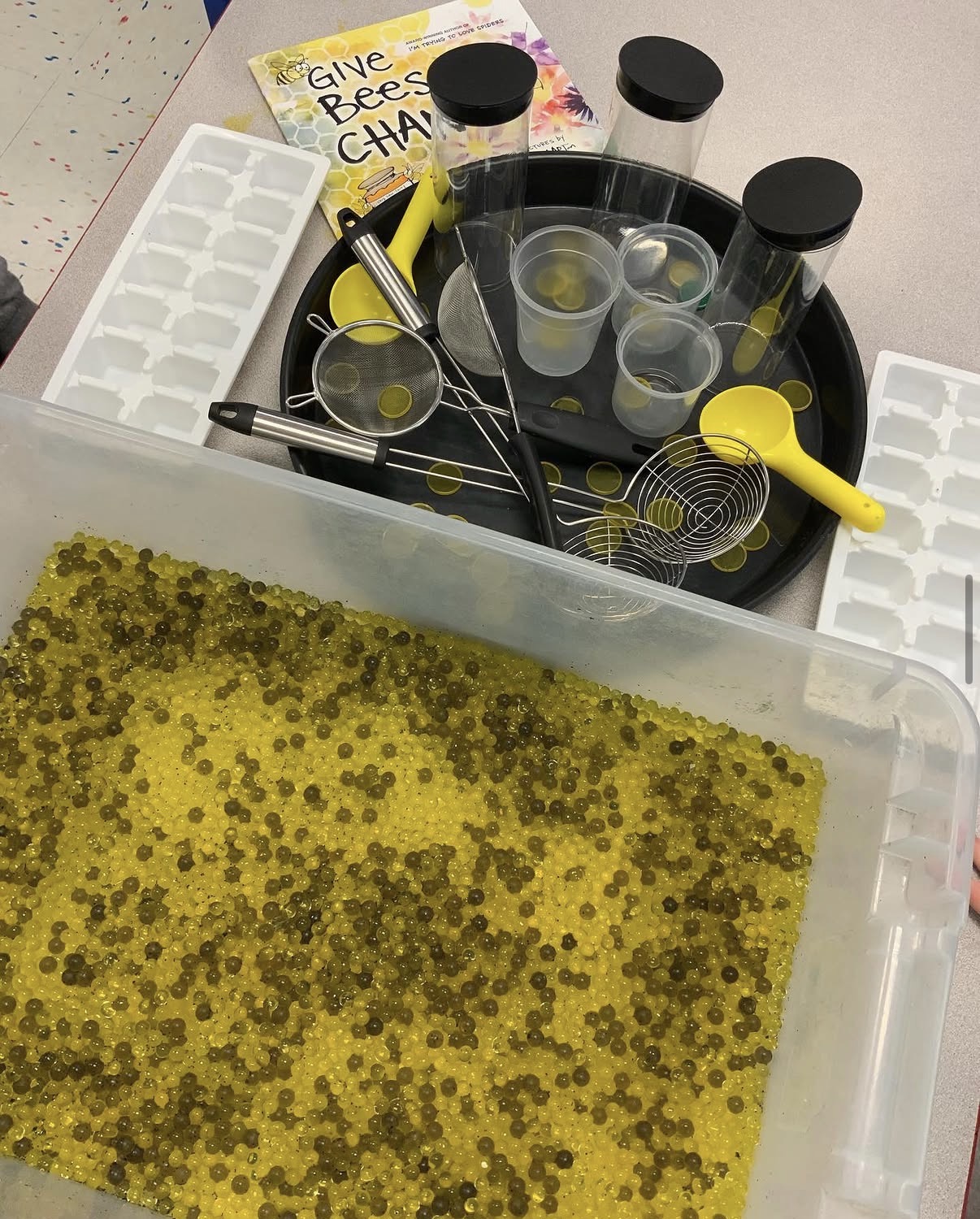 Bee-Themed Water Bead Station Setup 🐝🧪