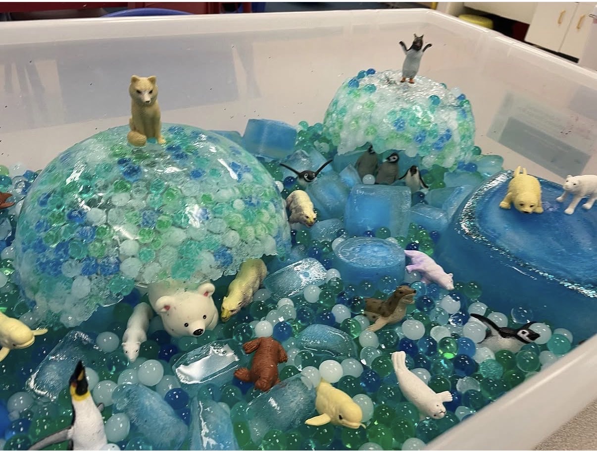 Arctic Animals