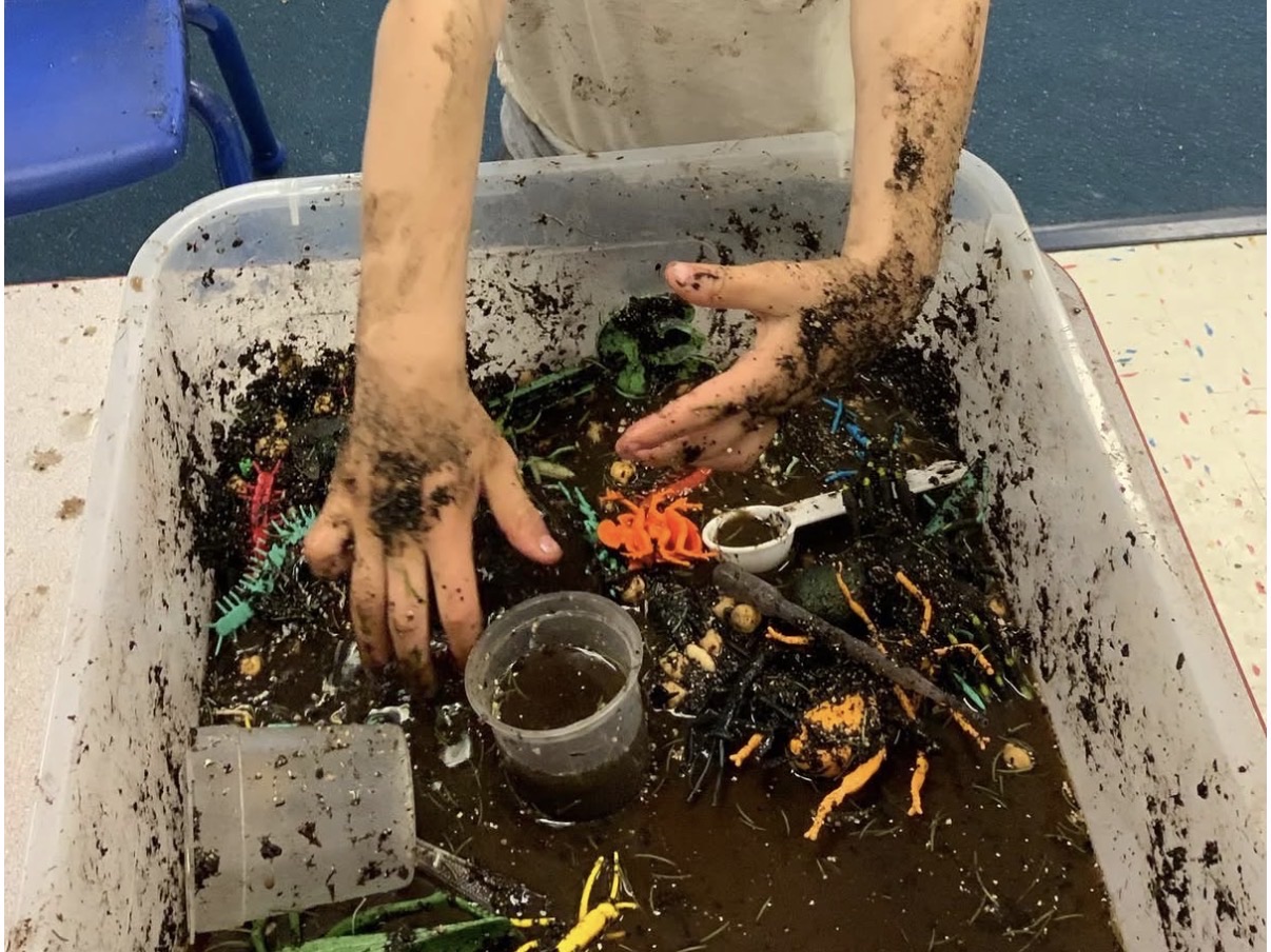 Mud Bugs Adventure